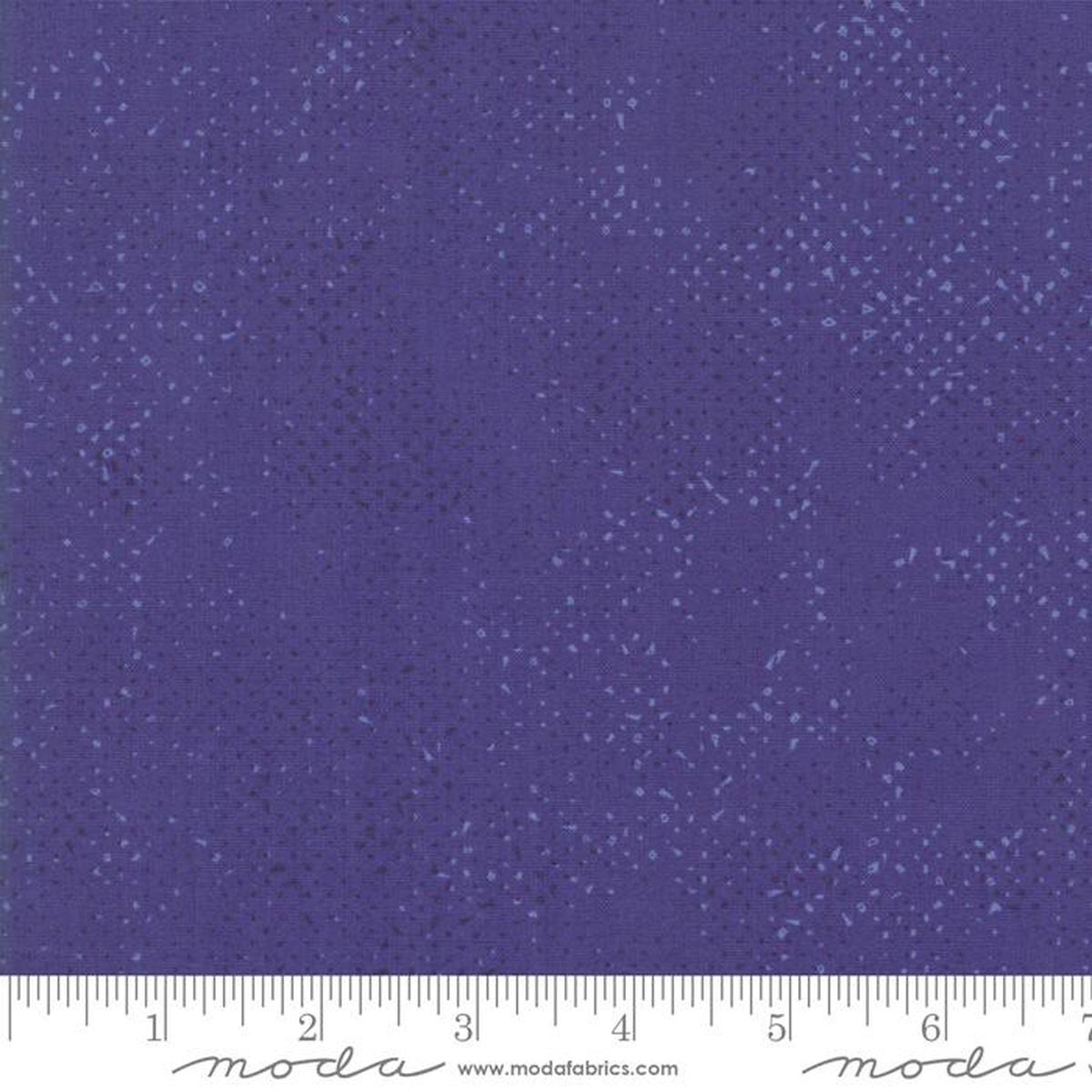 1660 72 Spotted Iris