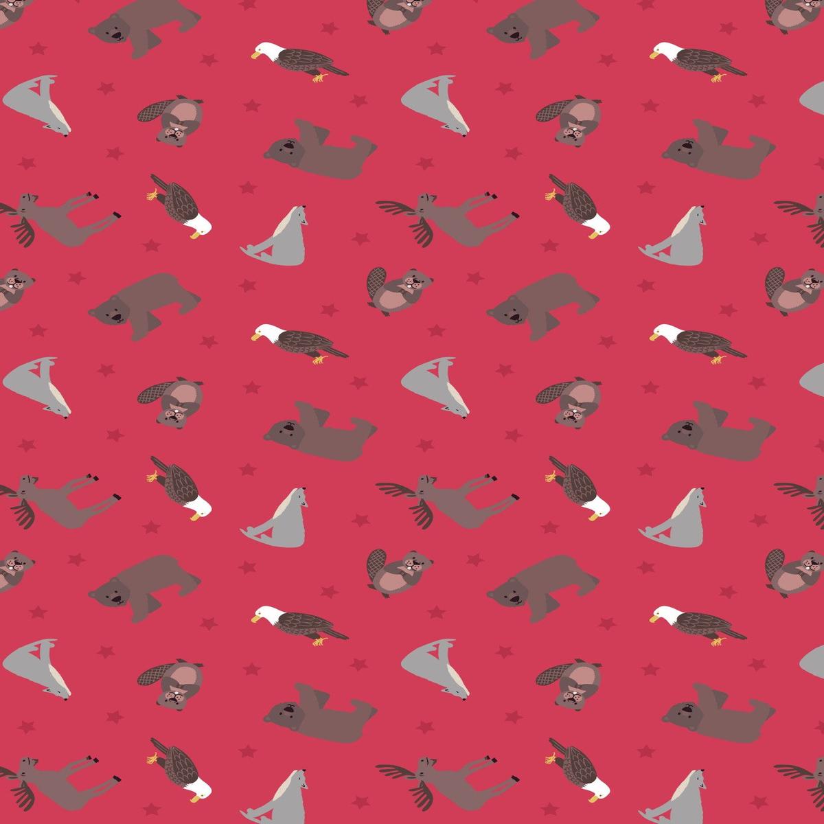 World Animals Red Eagle