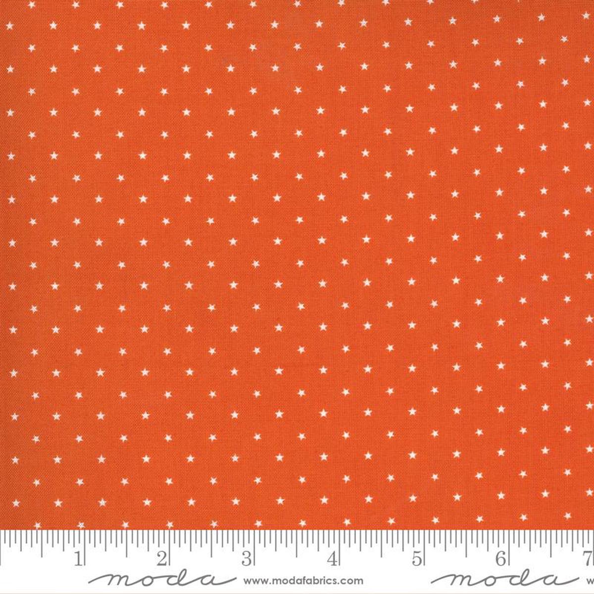 24106 13 Twinkle Pumpkin