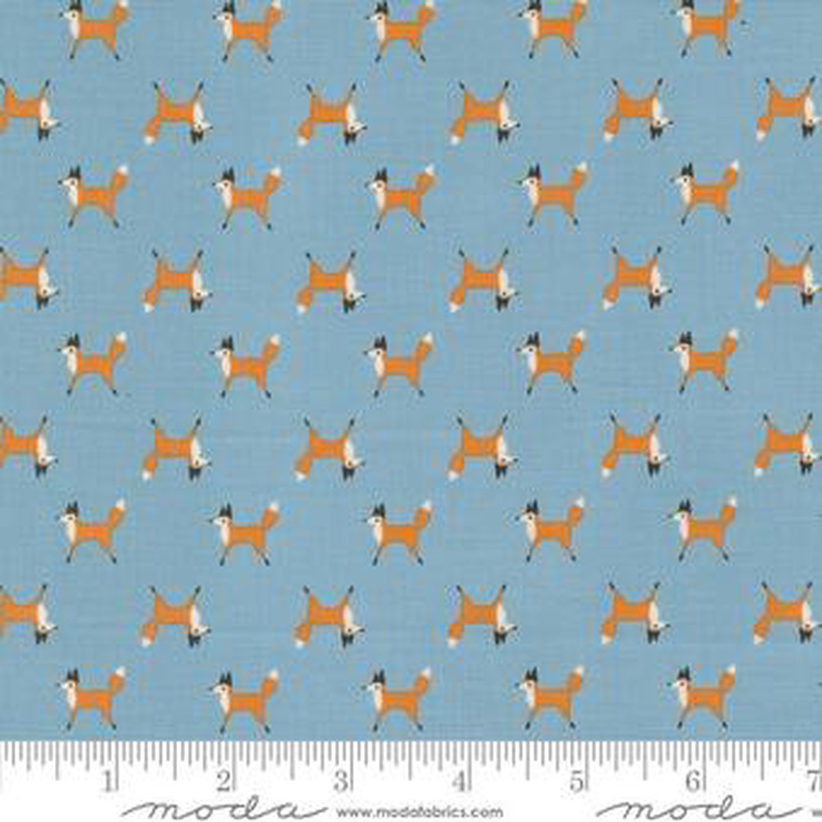Woodland Wonder Sky Trot Dot