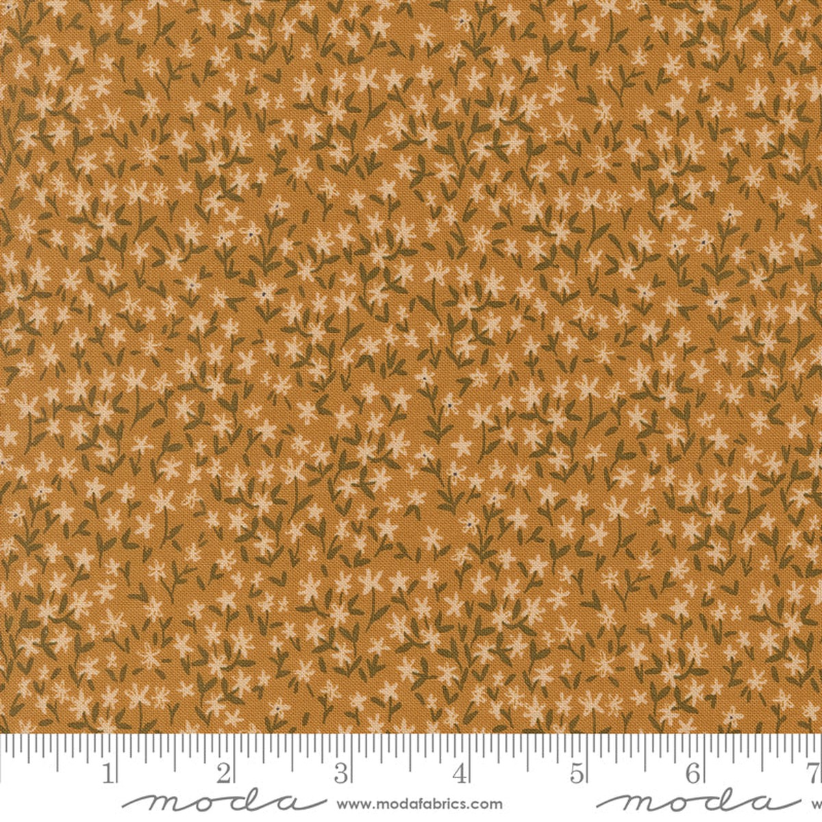 14125 13 Autumn Forest Golden