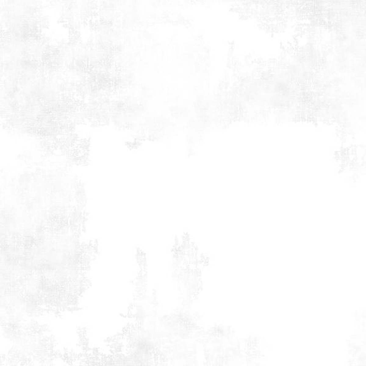 1077-89205-100 - Dry Brush